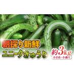 fu.... налог утро .. свежий Uni -k огурец 3kg( меньше * маленький изгиб ) / акционерное общество y's company(utsu мир ya)[UDX003] Saga префектура . самец город 