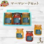 マーマレード セット 130g