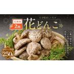 大分産しいたけ花どんこ 250g