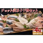 ふるさと納税 チョット訳あり干物セット〈かけはし水産〉 あじ干物 さば干物 いか干物 訳あり干物  長崎県佐世保市