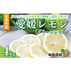 愛媛 レモン グリーンレモン 4kg