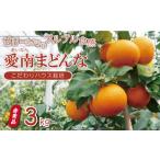 ふるさと納税 先行 予約 贈答用 愛南 まどんな 約3kg 【 赤秀品 】 みかん 20000円 愛果28号 紅まどんな 同品種 あいか アイカ 高級 人気 ブラン.. 愛媛県愛南町