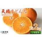 ふるさと納税 紅まどんなと同品種!<天晴まどんな(愛媛果試28号)ご家庭用 約2kg> マドンナ 訳あり 果物 くだもの フルーツ みかん ミカン 柑.. 愛媛県西予市