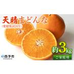 2027年2月中旬~3月上旬迄 予定 わけあり