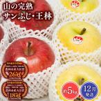 りんご 山の完熟サンふじ 約5kg