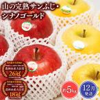 りんご 山の完熟サンふじ シナノゴールド 約5kg