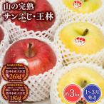 りんご 山の完熟サンふじ 約3kg
