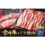 牛肉 ロース 4ヶ月定期便 宮崎牛肩ローススライス 500g
