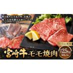 牛肉 5ヶ月定期便 宮崎牛ウデスライス 500g
