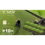 ふるさと納税 【先行予約 2025年9月以降発送】芝生(省管理型コウライ芝 TM9ティーエムナイン)10束セット※10平米分 鳥取県琴浦町