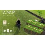 ふるさと納税 【先行予約 2025年9月以降発送】芝生(省管理型コウライ芝 TM9ティーエムナイン)6束セット※6平米分 鳥取県琴浦町