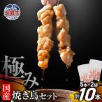 焼き鳥 極みの焼き鳥セット 10本