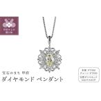 プラチナダイヤモンド ライトイエロー 0.25ctUP