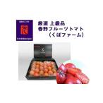 春野フルーツトマト くぼファーム 厳選上級品 約1kg