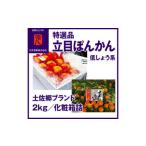 特選品土佐郷ブランド立目ぽんかん 低しょう系約12玉 約2kg