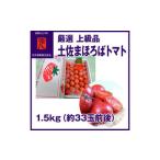 厳選上級品まほろばトマト 約1.5kg