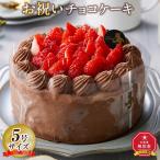 チョコケーキ 5号サイズ チョコケーキ_04263