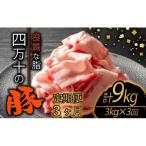 豚肉定期便3ヶ月9kg