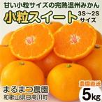濃厚完熟 木成り温州みかん 小粒スイート 5kg
