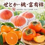 紀州和歌山産旬のフルーツセット いちご