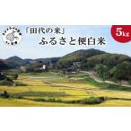 田代の米 ふるさと便白米 令和6年産米 5kg