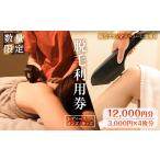 脱毛利用券 12 000円分