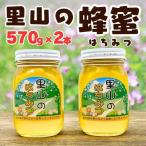 ありだ里山の蜂蜜 570g×2本セット