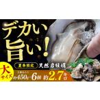 若狭湾 生食用 天然岩牡蠣 大6個 軍手 牡蠣ナイフ付き