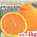 不知火 しらぬい 約4kg