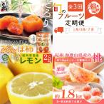 定期便 果物定期便 あんぽ柿 レモン 桃