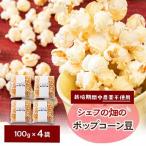 栽培期間中 農薬を使わず自家栽培 シェフの畑のポップコー…