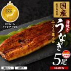 うなぎ 全3回 定期便 偶数月 蒲焼 5尾
