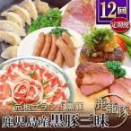 産黒豚三昧 HH-2全12回_肉 ハム 豚肉