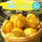 有機JAS認証 皮まで美味しい 希少な オーガニックレモン 約…