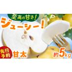 ふるさと納税 【★先行予約★ 2026年9月中旬より発送】梨（甘太）約5kg /  なし 果物 梨 フルーツ[AFAB061] 福岡県広川町