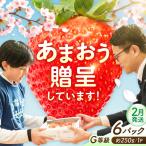 いちご あまおうG等級 3ケース 約250g×6パック