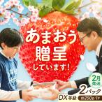 あまおうDX等級 1ケース 約250g×2パック