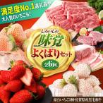 赤白いちご3種と佐賀産和牛のセット いちご