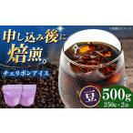 コーヒー豆 チェリボンアイス 500g