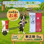 新之助 5kg