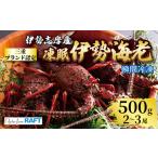 伊勢海老 500g