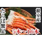 ふるさと納税 【北海道根室産】ボイルたらば蟹足5本〜16本(計1〜1.2kg) C-70077 北海道根室市