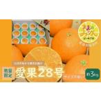 ふるさと納税 【数量限定 先行予約】訳あり愛果28号サイズ不揃い約3キロ家庭用 12月中旬頃〜順次発送〈産地直送 愛媛県 甘い みかん フルー.. 愛媛県砥部町