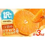 みかん 訳あり 愛果48号 約3kg