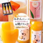 きわみ みかんジュース 2本