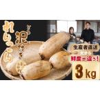 ふるさと納税 【先行予約】大人気!佐賀県産泥付きれんこん(3kg) もりながファーム A075-034 れんこん 蓮根 レンコン れんこん 筑前煮 泥付き.. 佐賀県小城市