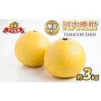 ふるさと納税 贈答用 �