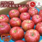 りんご サンふじ約5kg