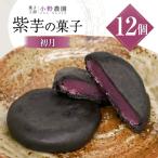 お菓子 筑紫野 初月12個入