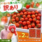 訳あり 赤いミニトマトの宝石箱 約2kg